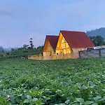 Martos Villa Dieng